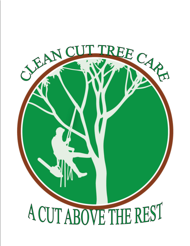 Clipart Tree Climbing (800x800), Png Download