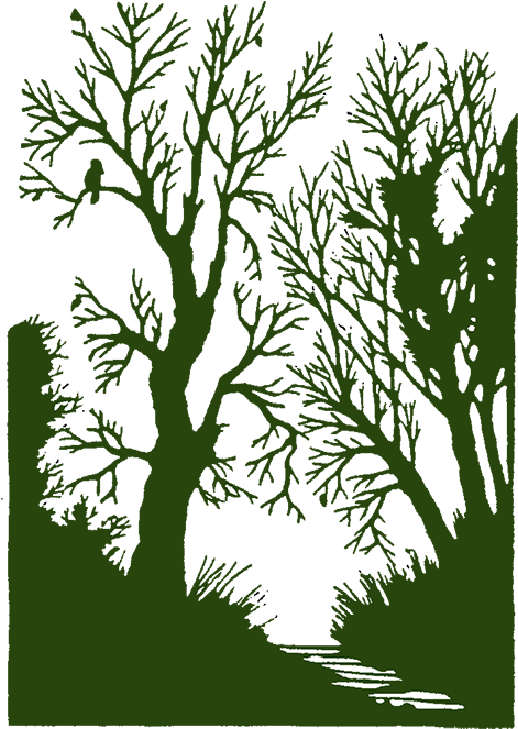 It May Sound Silly, But Try It - Sick Of Shadows [book] (500x702), Png Download