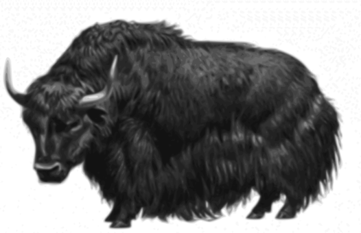 Banner Black And White Bison Clipart Wild Buffalo - Yak Png (526x340), Png Download