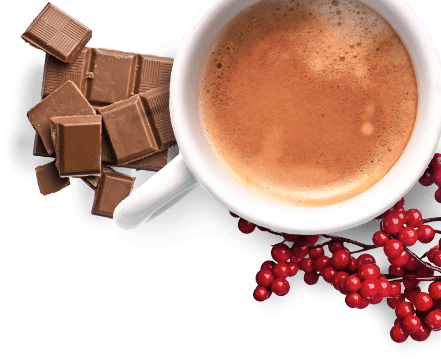 Holiday Tours, Inc. (441x360), Png Download