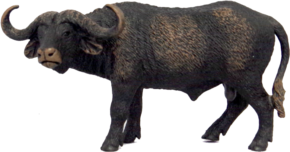 Schleich African Buffalo (1000x1000), Png Download