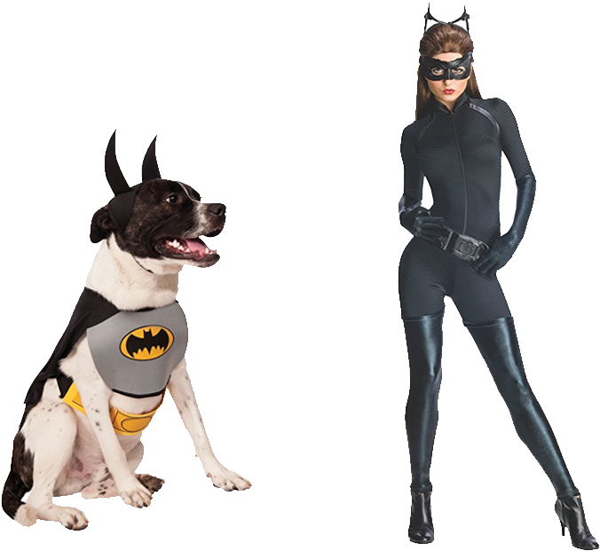 Catwoman 1200 Nobg - Joker Costume For Dog (1200x630), Png Download