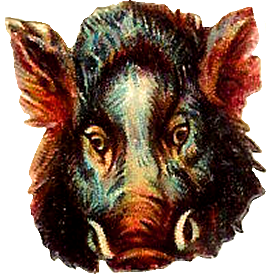 Buffalo Clipart Png - Clip Art (1057x1100), Png Download