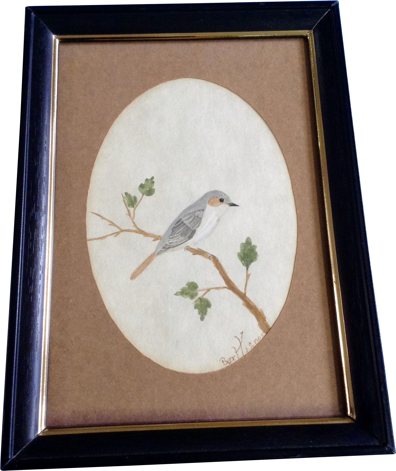 Bart Tignor, Finch Bird On A Branch Watercolor Painting - Picture Frame (1984x1984), Png Download