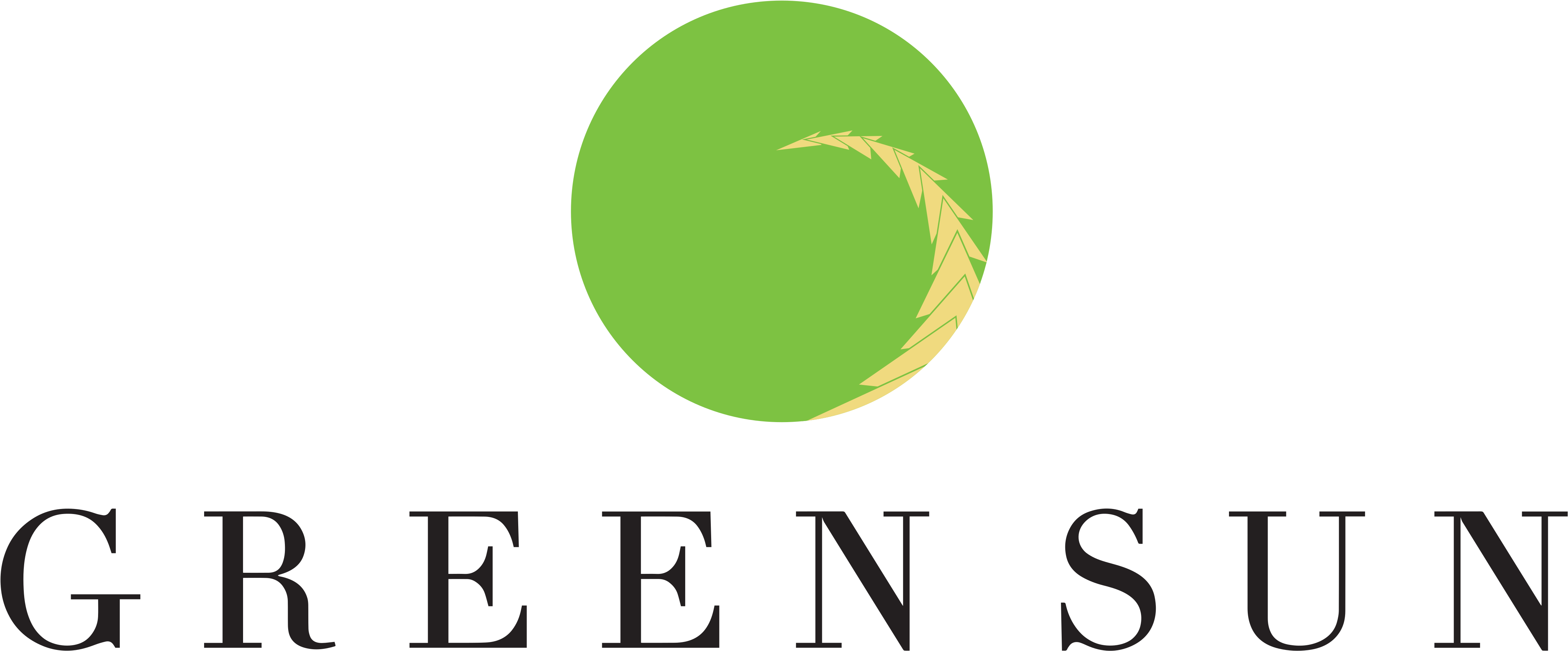 Green Sun Plays Host To The Young, Vibrant Team Behind - Solid Manila Corporation (4400x3400), Png Download