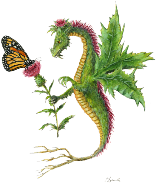 "dragon Art""flower Dragon" A Thistle Dragon Gives - Flower Dragon (536x640), Png Download
