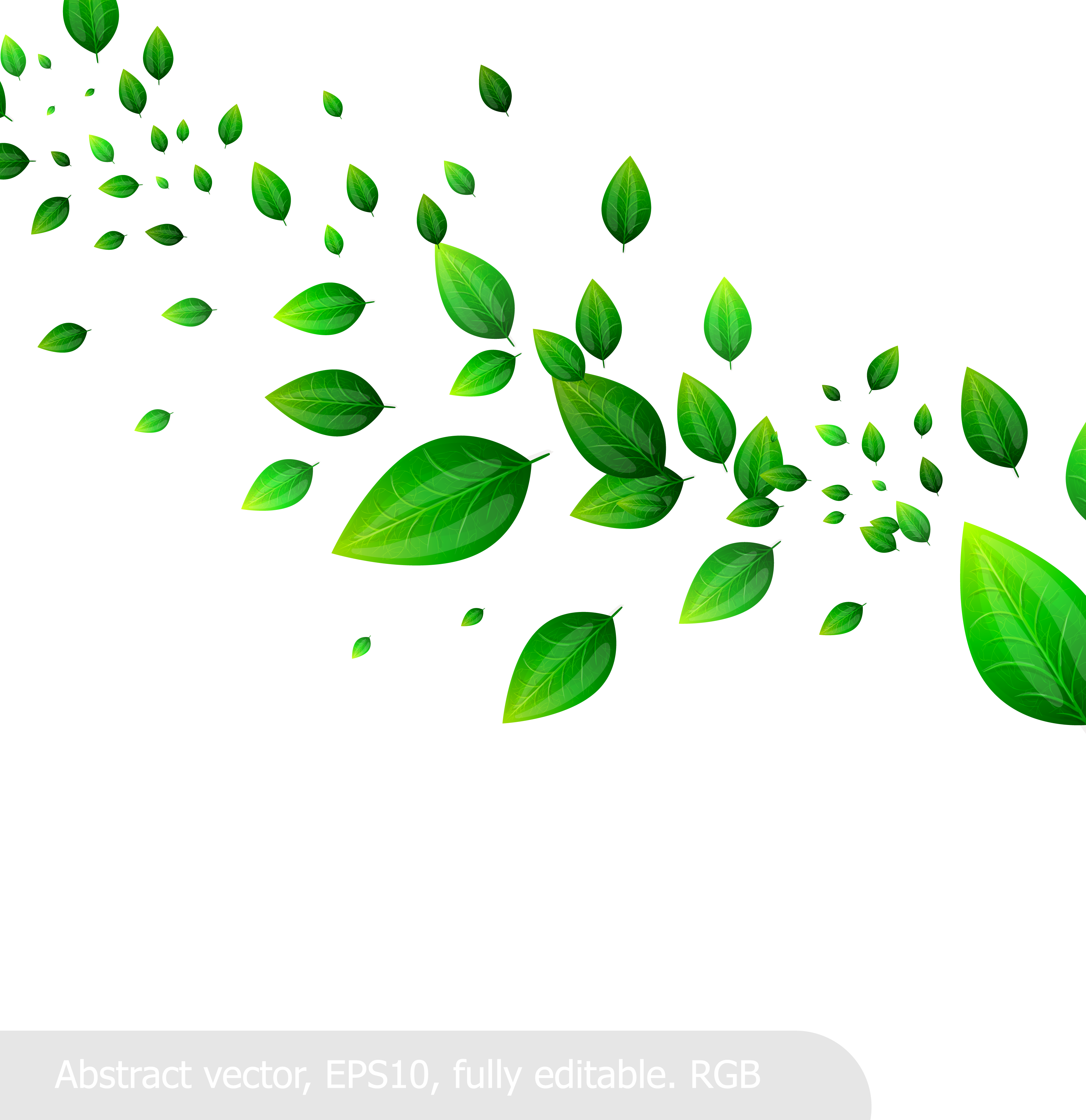 Leaf Clip Art - Clip Art (3518x3629), Png Download