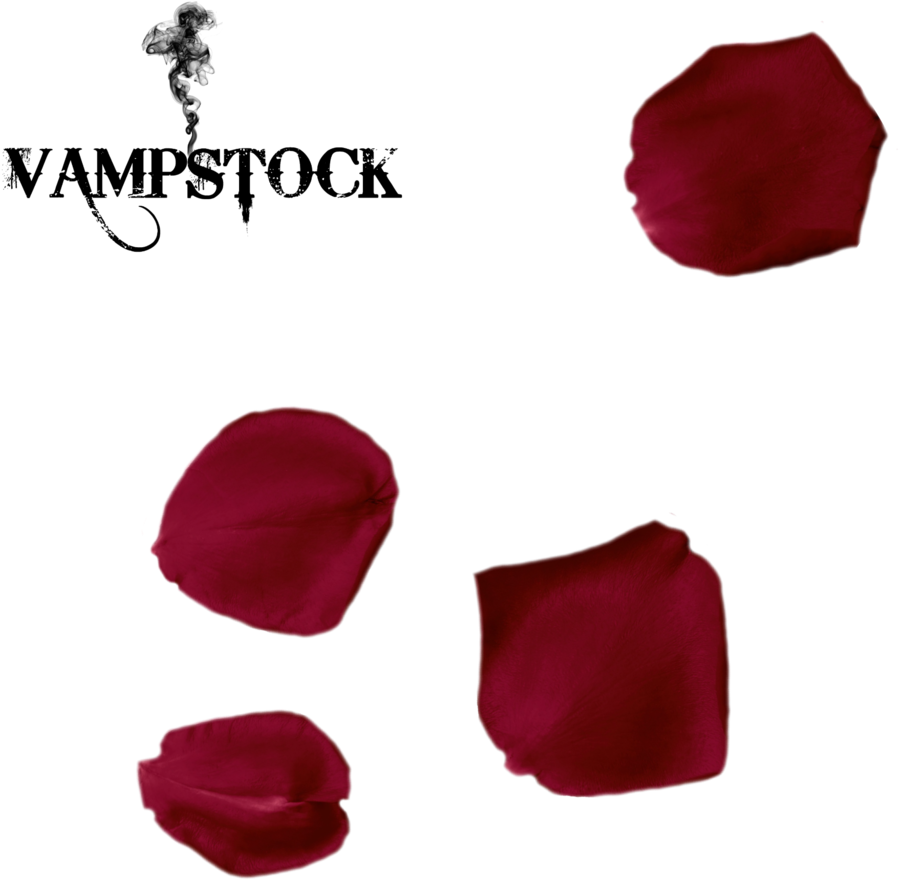 Rose Petal Png - Single Red Rose Petals Png (1024x1024), Png Download