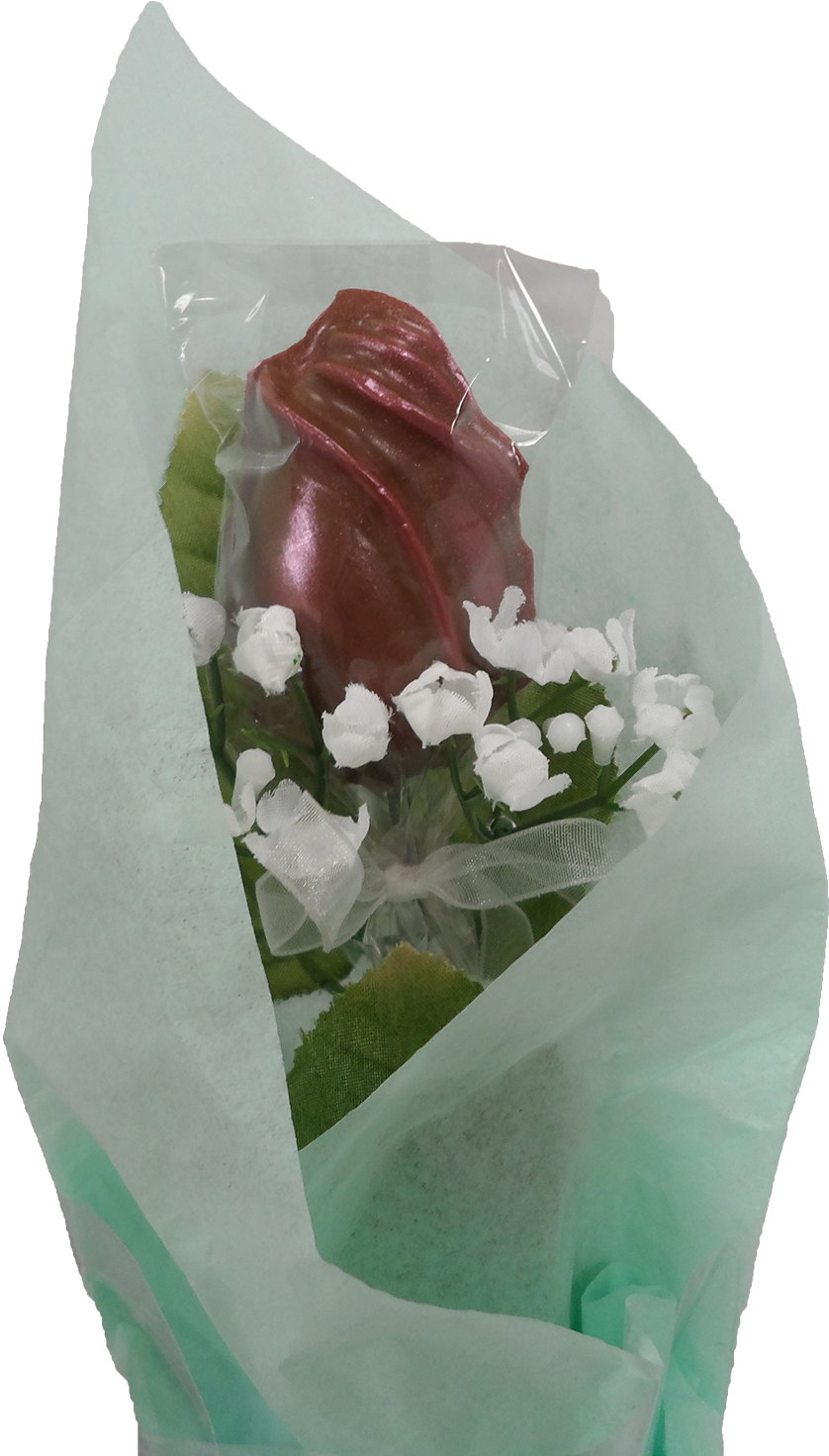 Long Stemmed Rose - Rose (1500x1500), Png Download