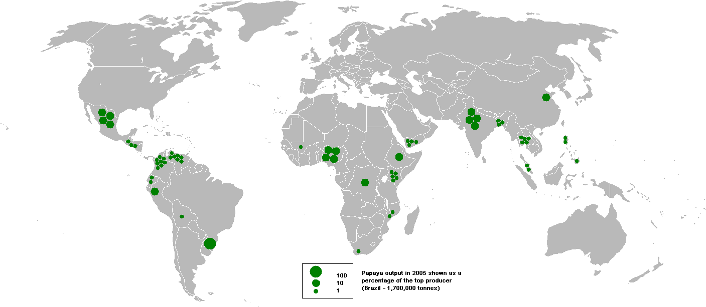 Map Of Papaya Output In 2005 - World Map China Germany (1425x625), Png Download