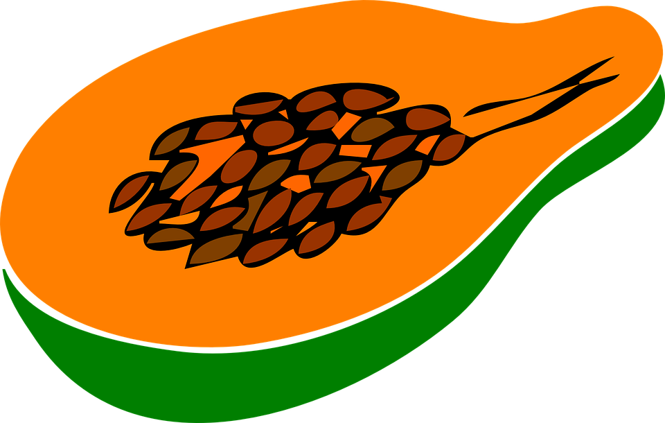 Papaya Drawing Clip Art Jpg Download - Papaya Png Clipart (600x381), Png Download