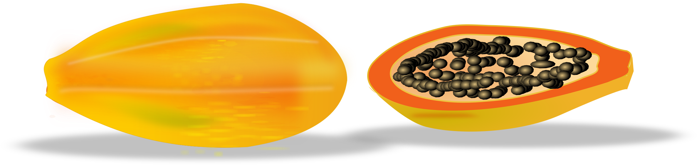Free Vector Papaya Sliced - Papaya Vector Free Download (800x213), Png Download
