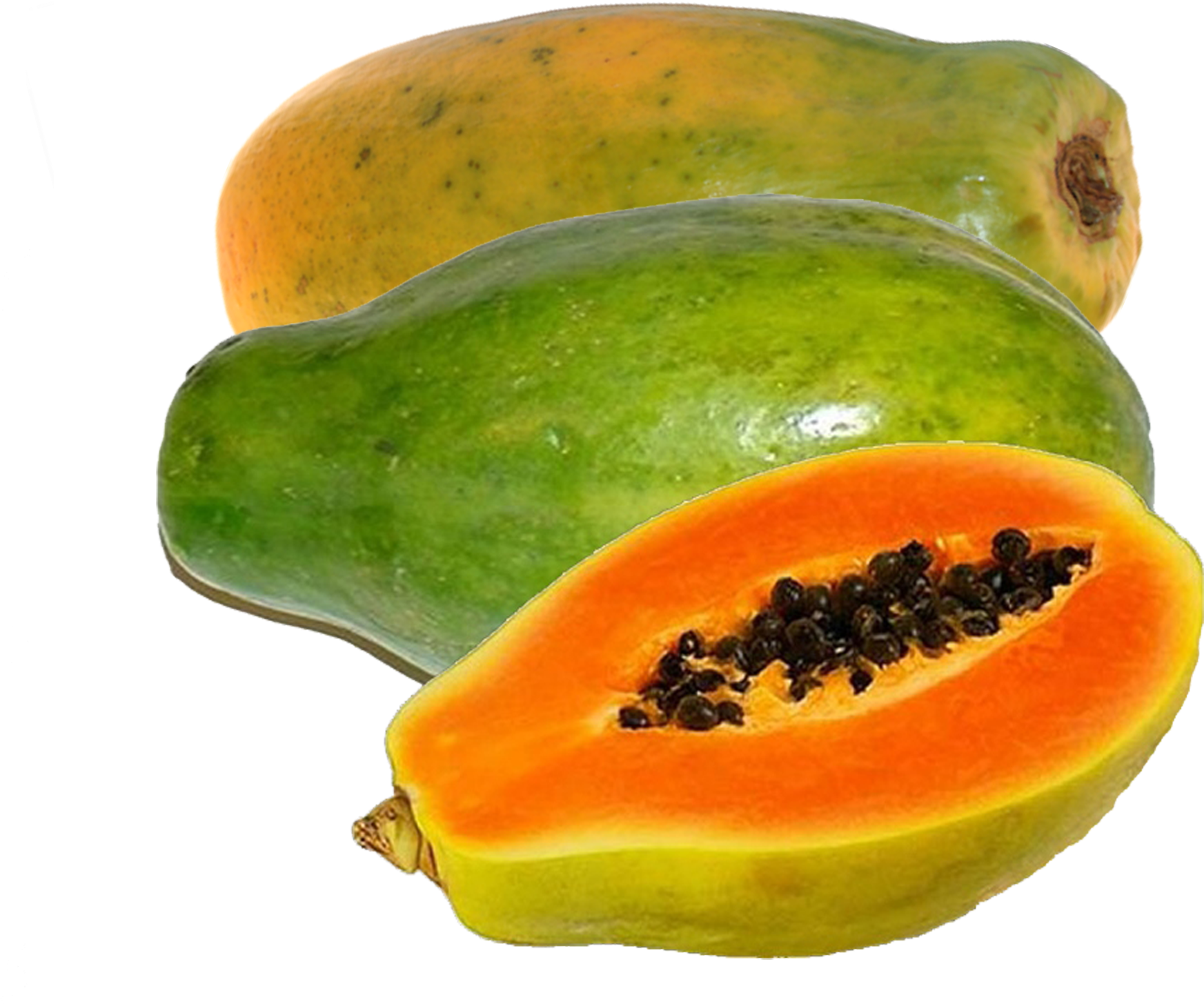 Papaya Free Cut Out - Example Of Seed Bearing Plants (2048x2048), Png Download