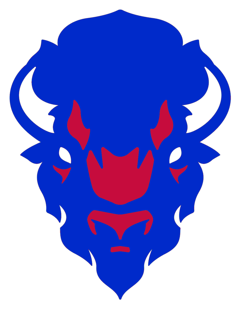 Bills Face2 - Howard Bison (779x1000), Png Download