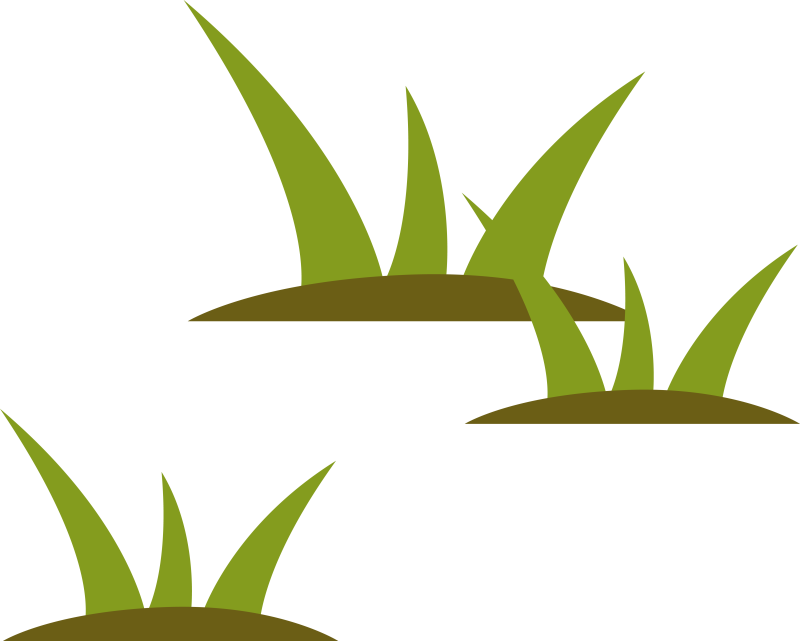 Stylized Wetlands Grass Illustration - Grass Illustration Png (800x641), Png Download