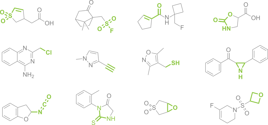 Possible Covalent Binder In The Molecule (899x419), Png Download