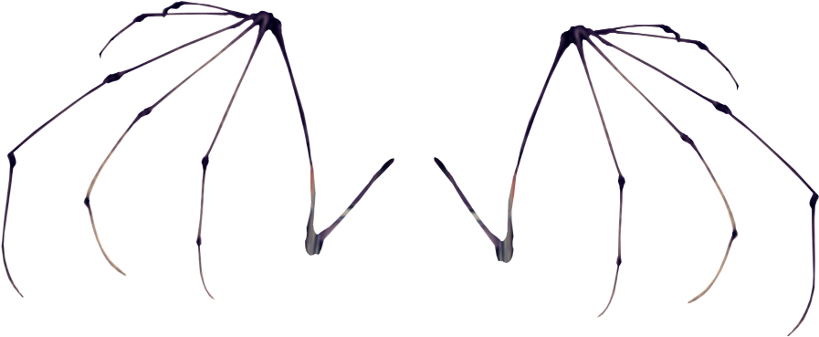 Skeleton Bat Wings Bonesfreetoedit (1024x1009), Png Download