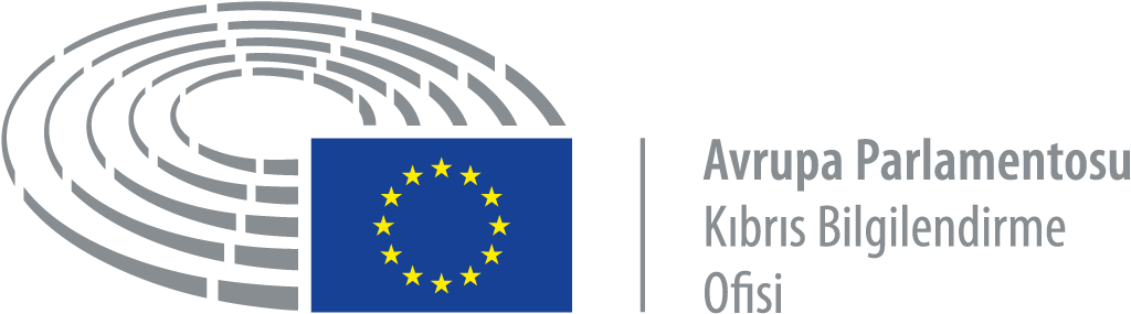 Avrupa Parlamentosu Kıbrıs Ofisi Düzenleyeceği Yuvarlak (1252x520), Png Download