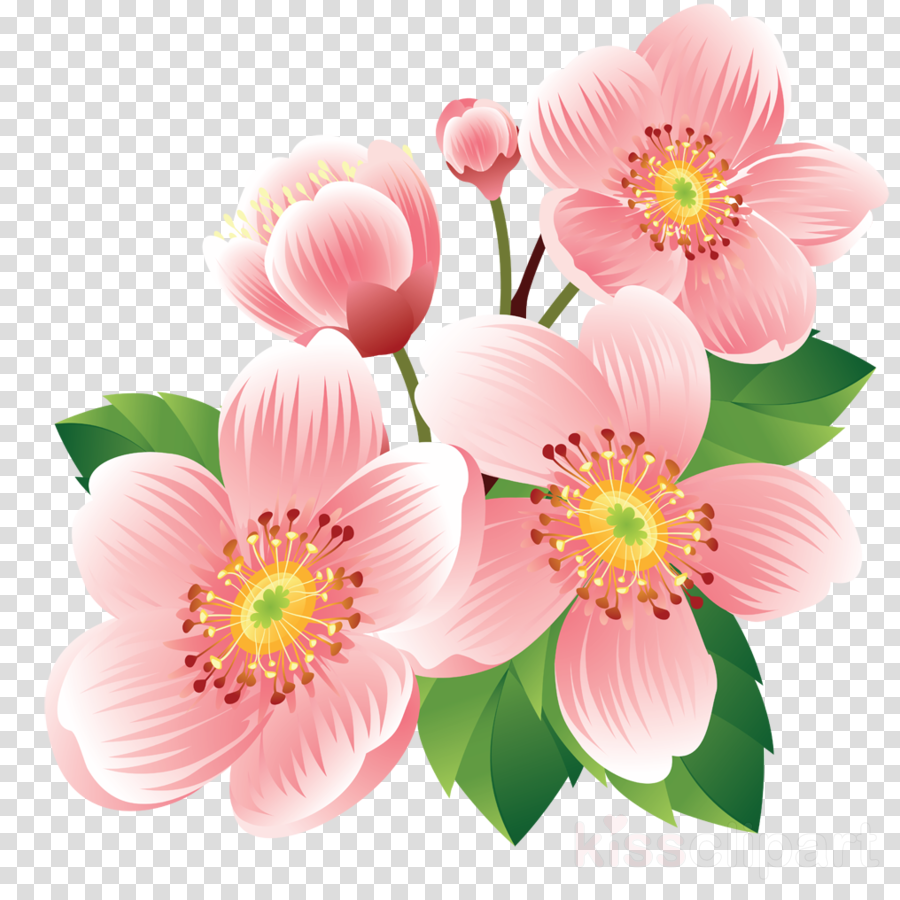 Joli Fleur Png Clipart Flower (900x900), Png Download