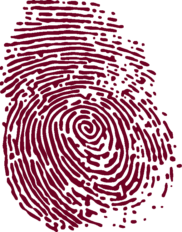 Espiral Png (583x741), Png Download