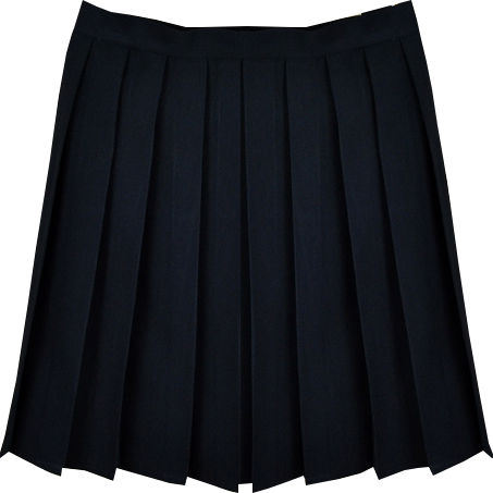 Black Pleated Skirt From Inu Inu - Miniskirt (453x453), Png Download