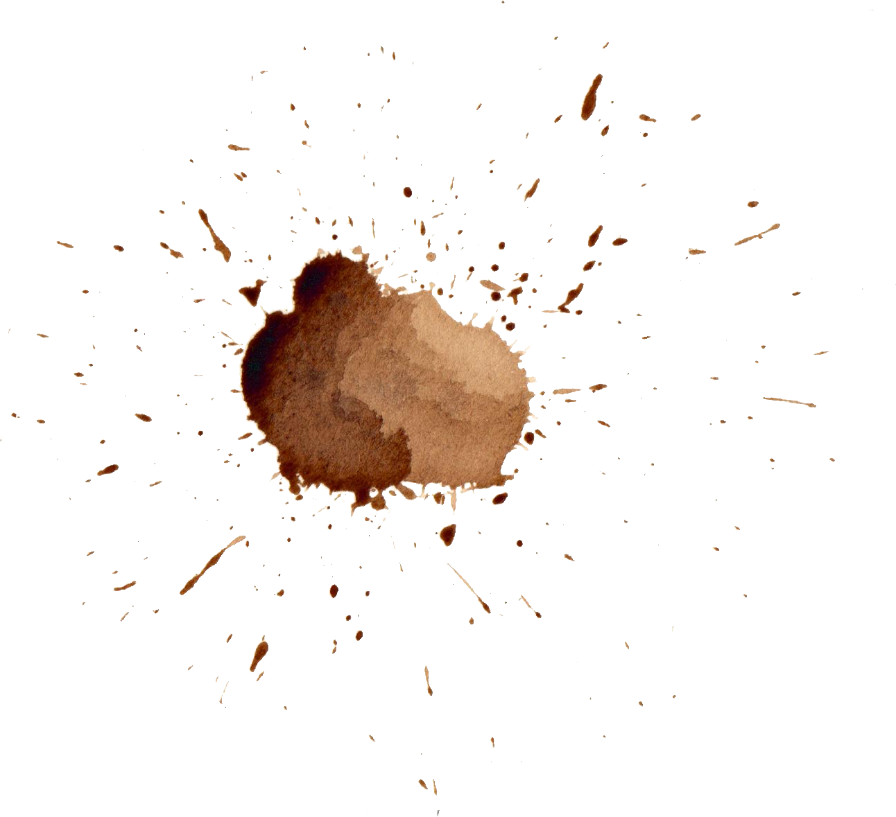 Free Download - Macro Photography (1292x1179), Png Download