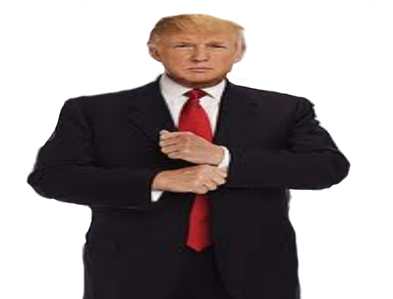 Donald Trump Full Body Png - Tyrone T Rex Edwards (800x600), Png Download