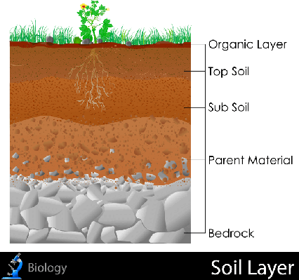 Soil Texture Png Basketball Jump Ball - Diagram Of Layers Of Soil (426x399), Png Download
