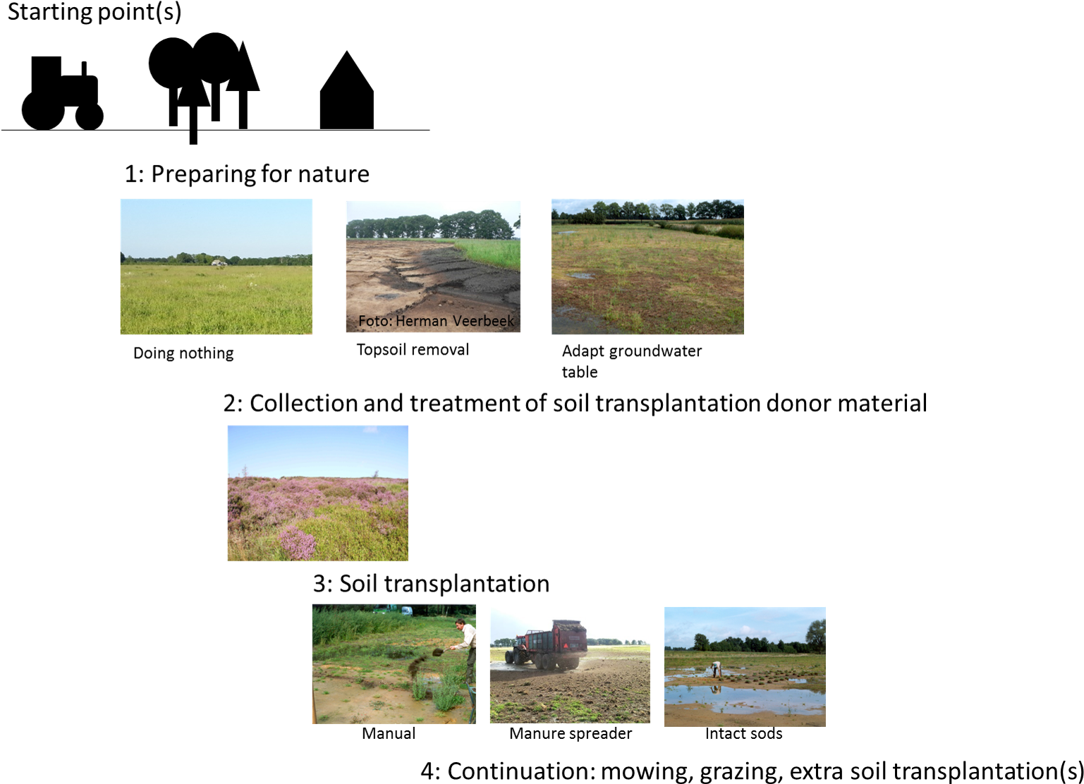 Grass (1565x1159), Png Download