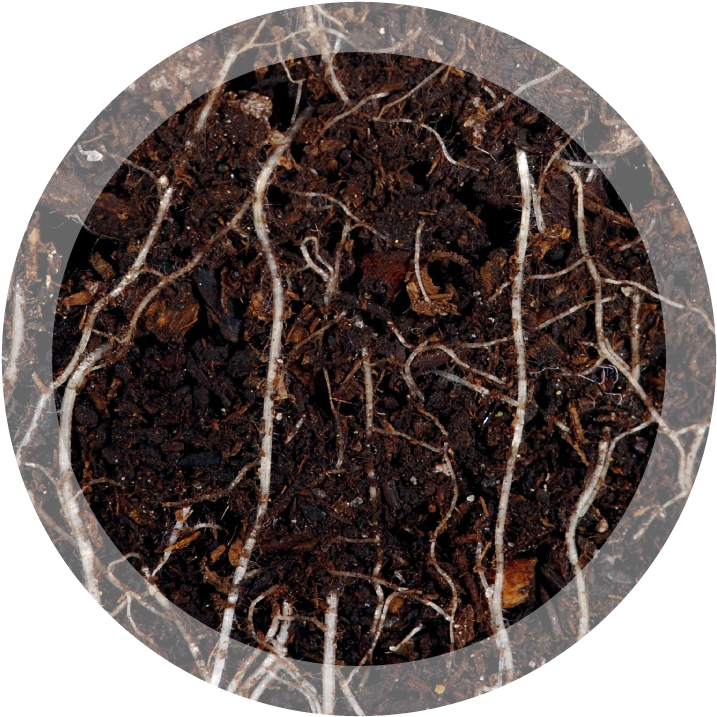 A Turf Health System - Dirty Gardener Seeding Mulch, 50 Pounds (736x734), Png Download