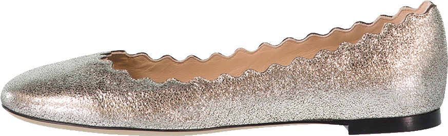 Loading Zoom - Ballet Shoe (960x1223), Png Download