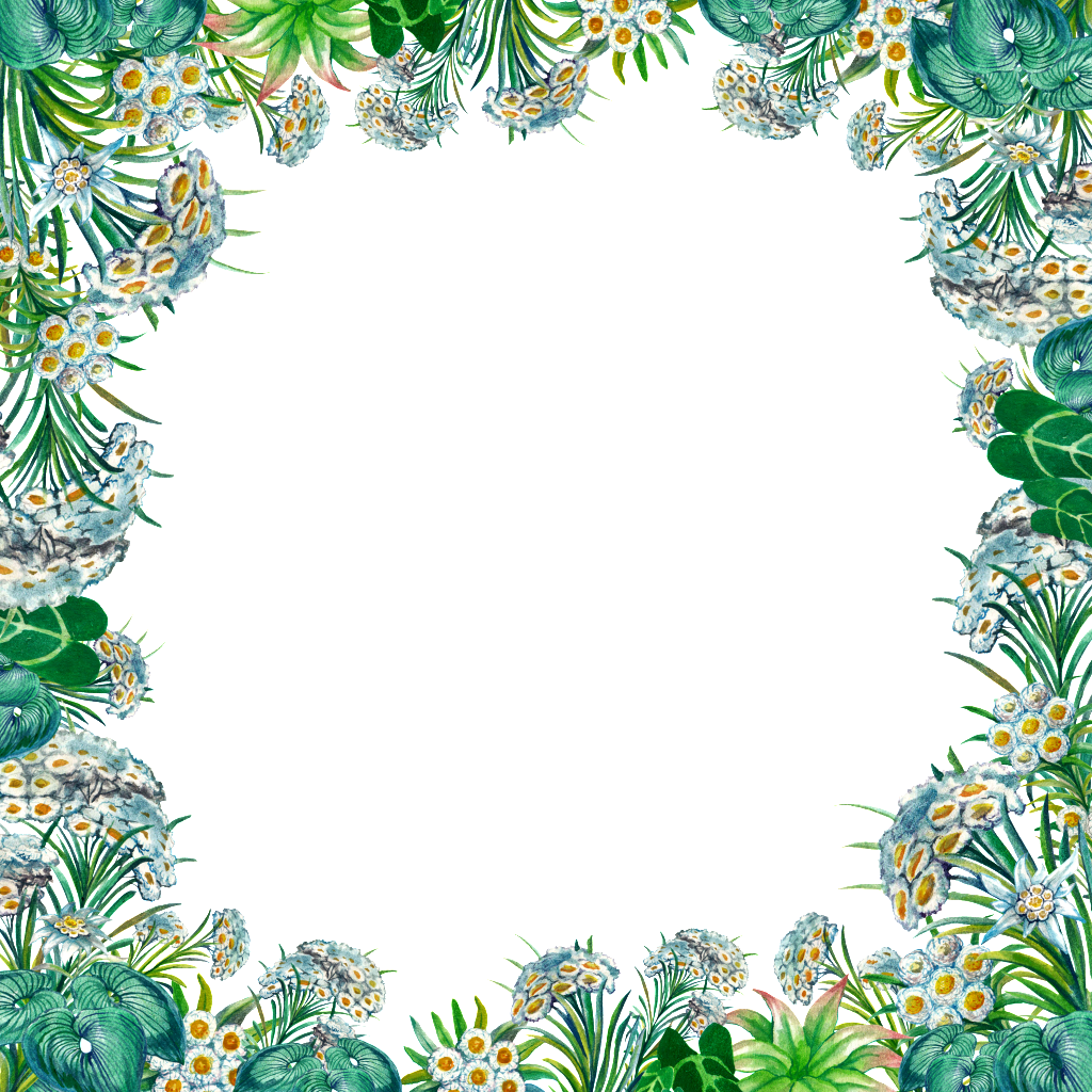 Green Leaf Transparent Border Png - Bordas Decoradas De Folha (1024x1024), Png Download