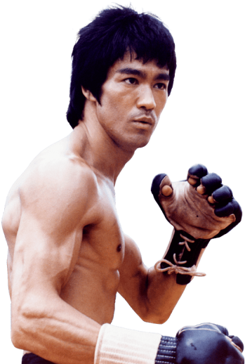 Free Png Bruce Lee Png Images Transparent - Bruce Lee Png (480x600), Png Download