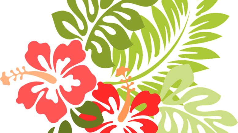 Pia's Luau Party - Hibiscus Clip Art (777x437), Png Download