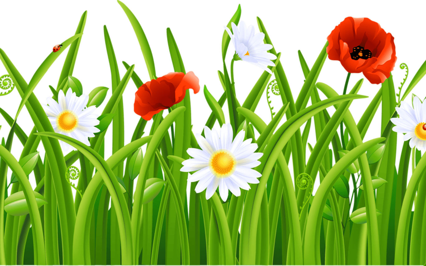 Cute Grass And Flowers Png Clipart Pinterest Grasses Grass And Flower Clip Art Full Size Png Download Seekpng