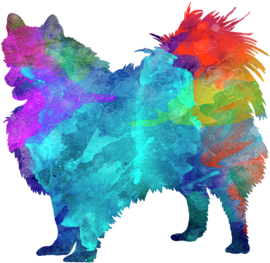 Pomeranian In Watercolor By Pablo Romero - Pomeranian In Watercolor (600x480), Png Download