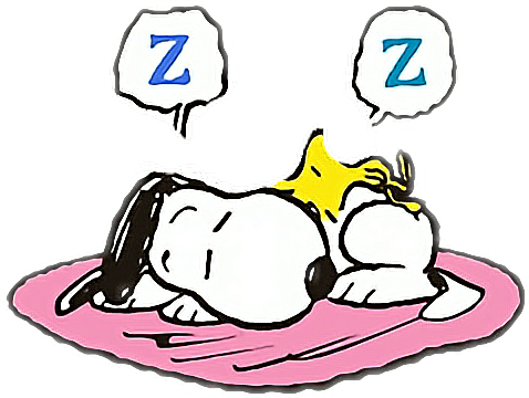 Peanut Woodstock Goodnight Night Sleepy Smile - Snoopy And Woodstock Good Night (478x360), Png Download