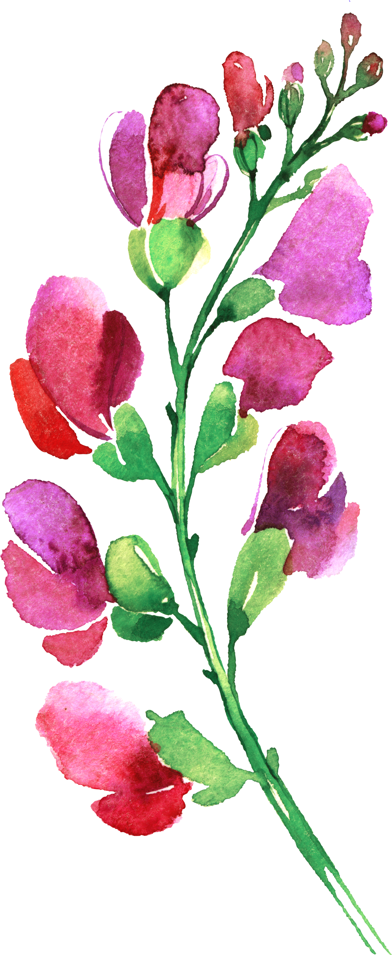 Pin By Hannah Erke On Art In 2018 - Hübsche Rosa Und Lila Blumen Danken Ihnen Karte (1308x3187), Png Download