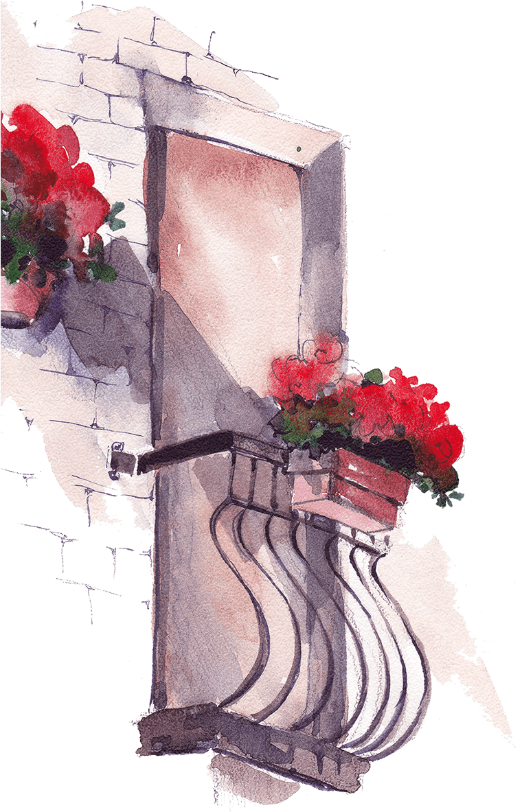 Take A Look Locations Image Locations Image - Garden Roses (761x1192), Png Download