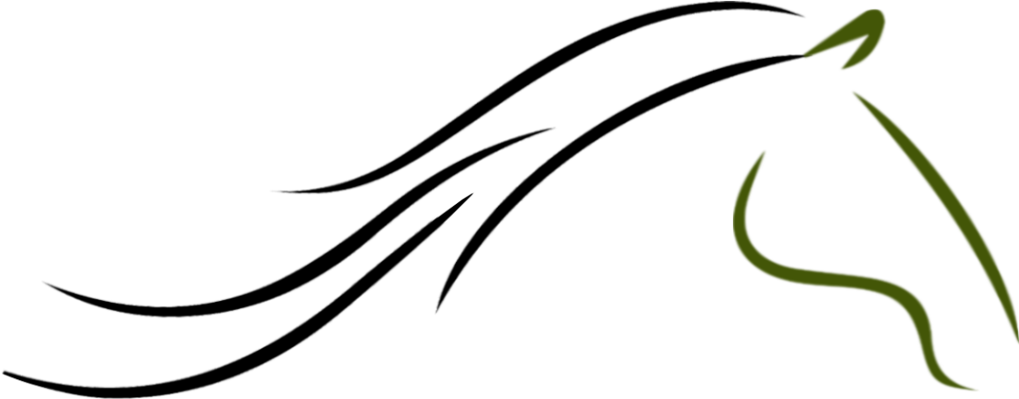 Horse Head Logo Png - Horse Head Logo Transparent Background (1170x491), Png Download