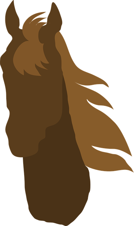 Animals Horse Head Mane Animal Equestrian - Cabeca Cavalo Png Vetor (427x720), Png Download