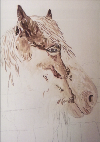 Horse, Artwork - Horse (692x497), Png Download