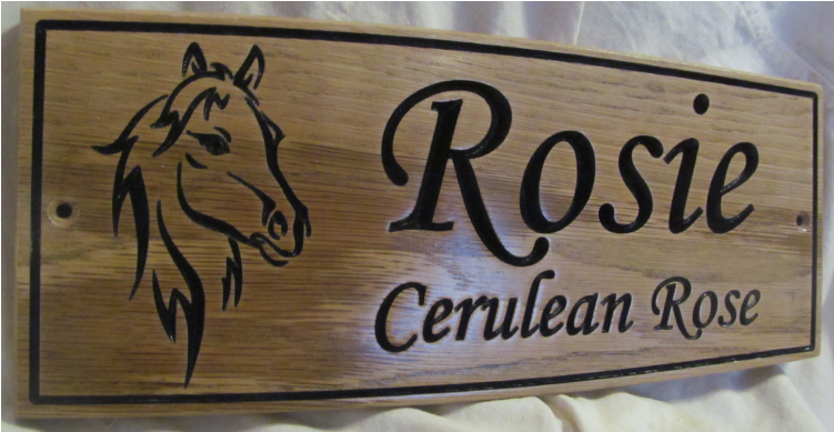 Ask A Question About - Rileybethcustomized Cowgirl Birthday Outfit (400x400), Png Download