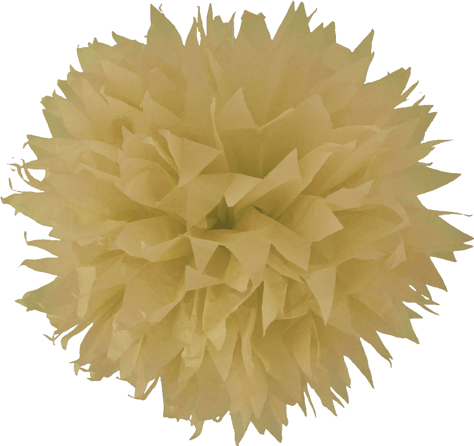Pompon Papier De Soie Fleur Écru (1000x926), Png Download