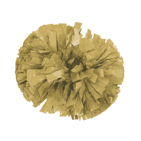 24 - - Shoe (480x480), Png Download