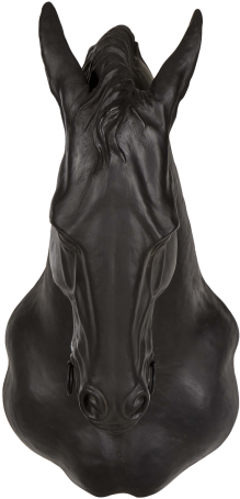 Andrew Martin - Stallion (736x460), Png Download