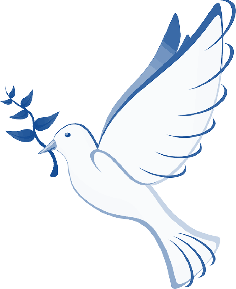 Dove Flying Away Png For Kids - Batak Christian Protestant Church (800x980), Png Download