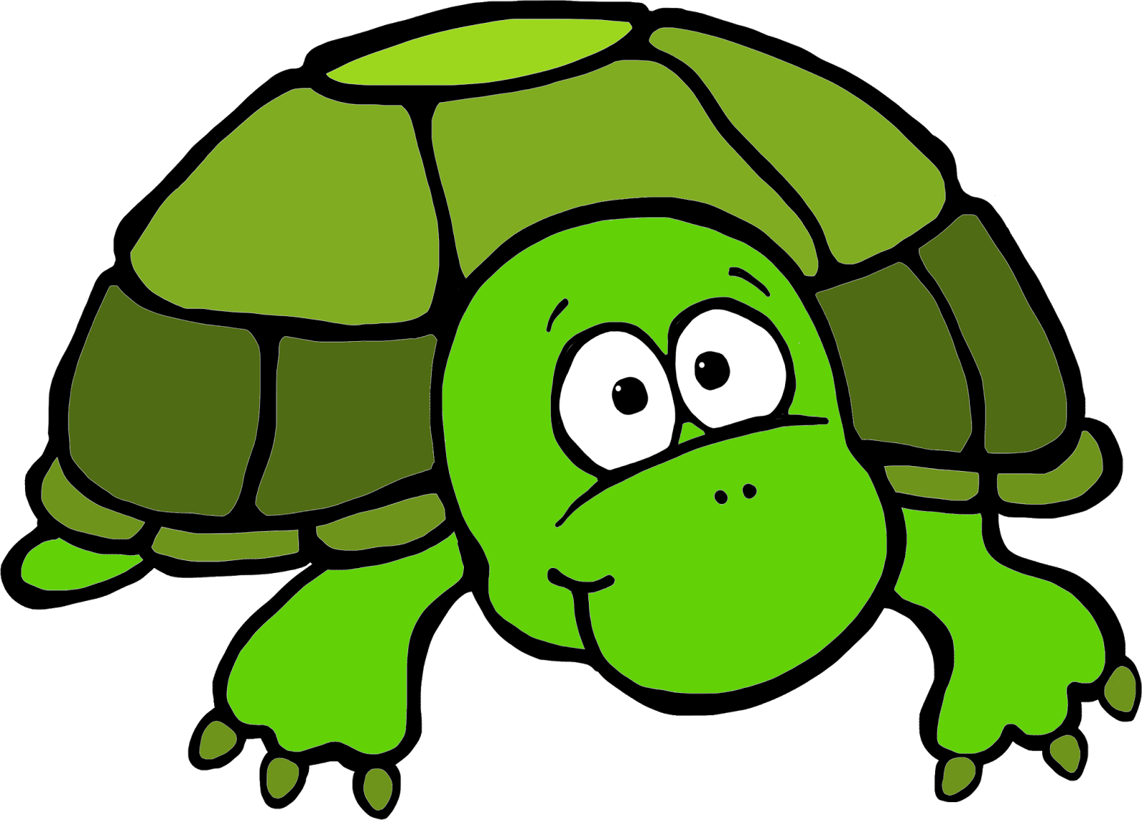 Turtle Clipart In Png (1600x1149), Png Download