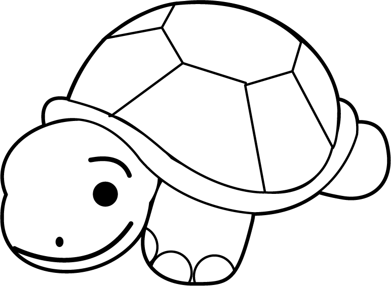Turtle Clip Art Black And White - White Turtles Clip Art (772x565), Png Download