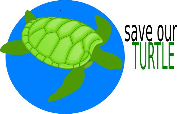 Save Our Turtle Clip Art - Save Turtles Clipart (600x387), Png Download
